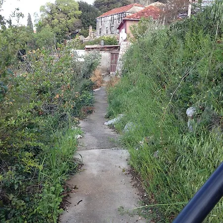 Orebic Adriana Tatil Evi *